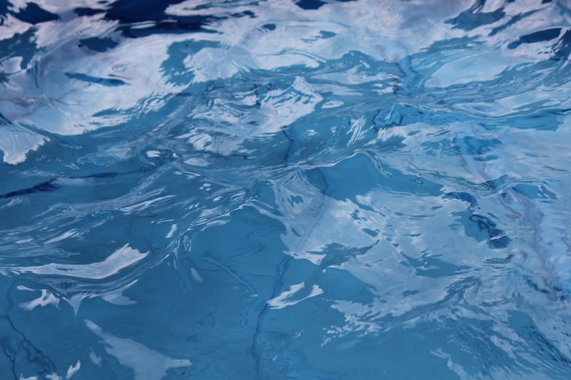Aware Swimming