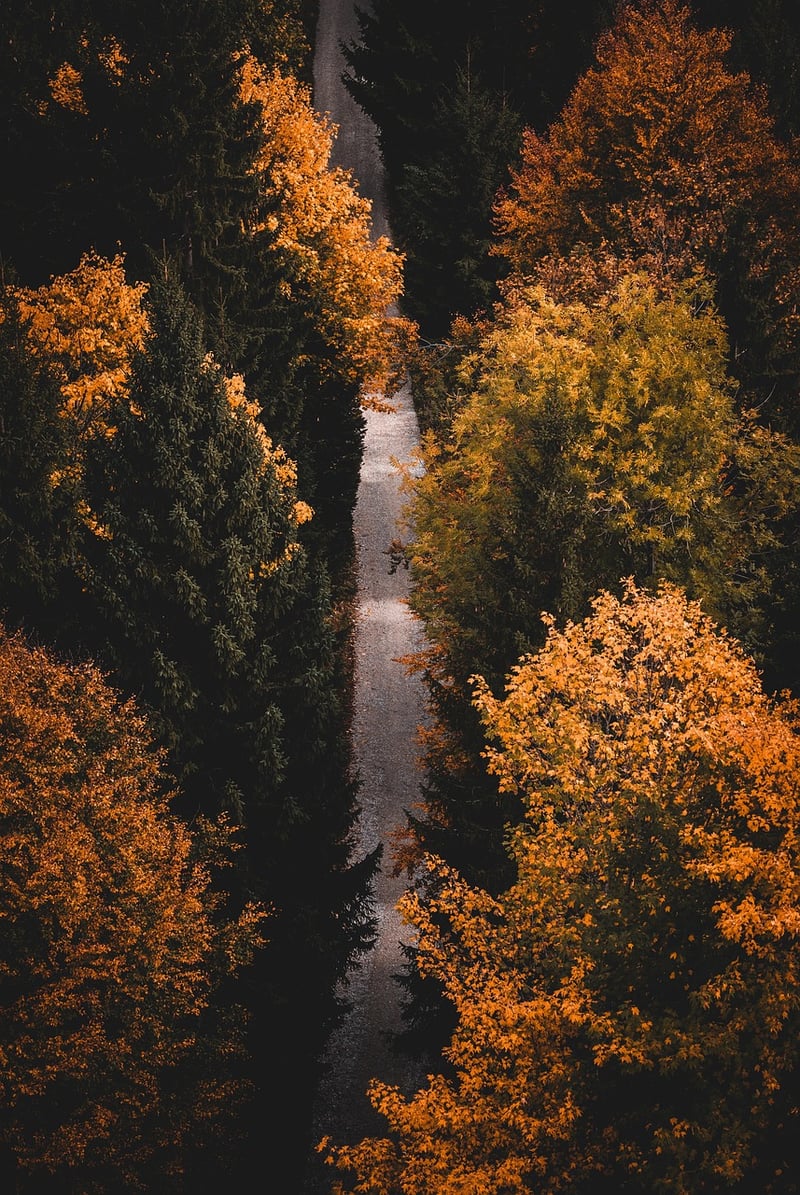 Breath Awareness